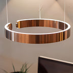 Modern Ring LED Chandelier for Living Room