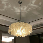 Round Shell Chandelier for Bedroom Living Room