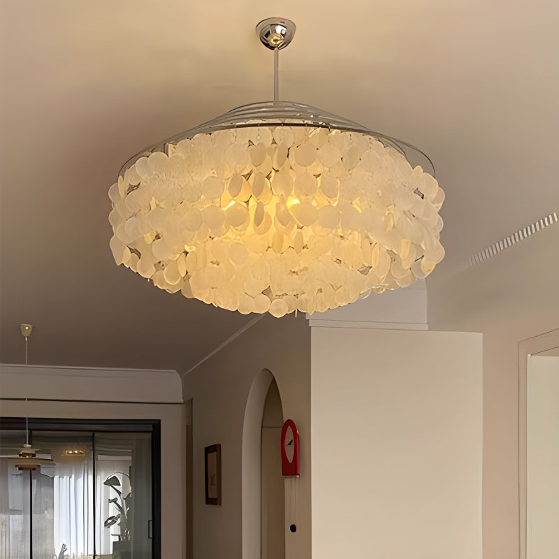 Round Shell Chandelier for Bedroom Living Room