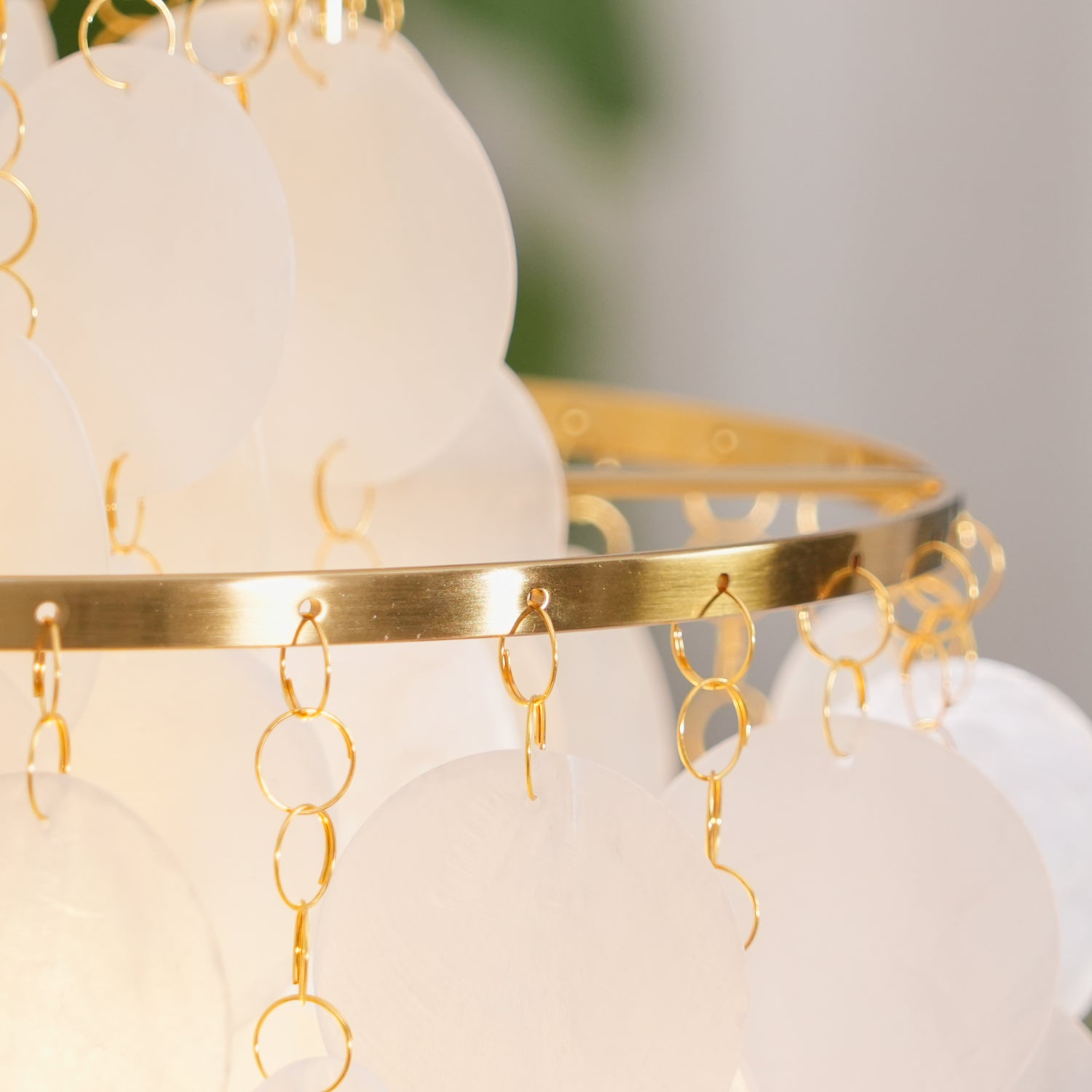 Seashells Pendant Light