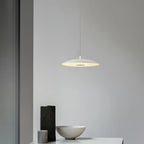 Scope Pendant Lamp