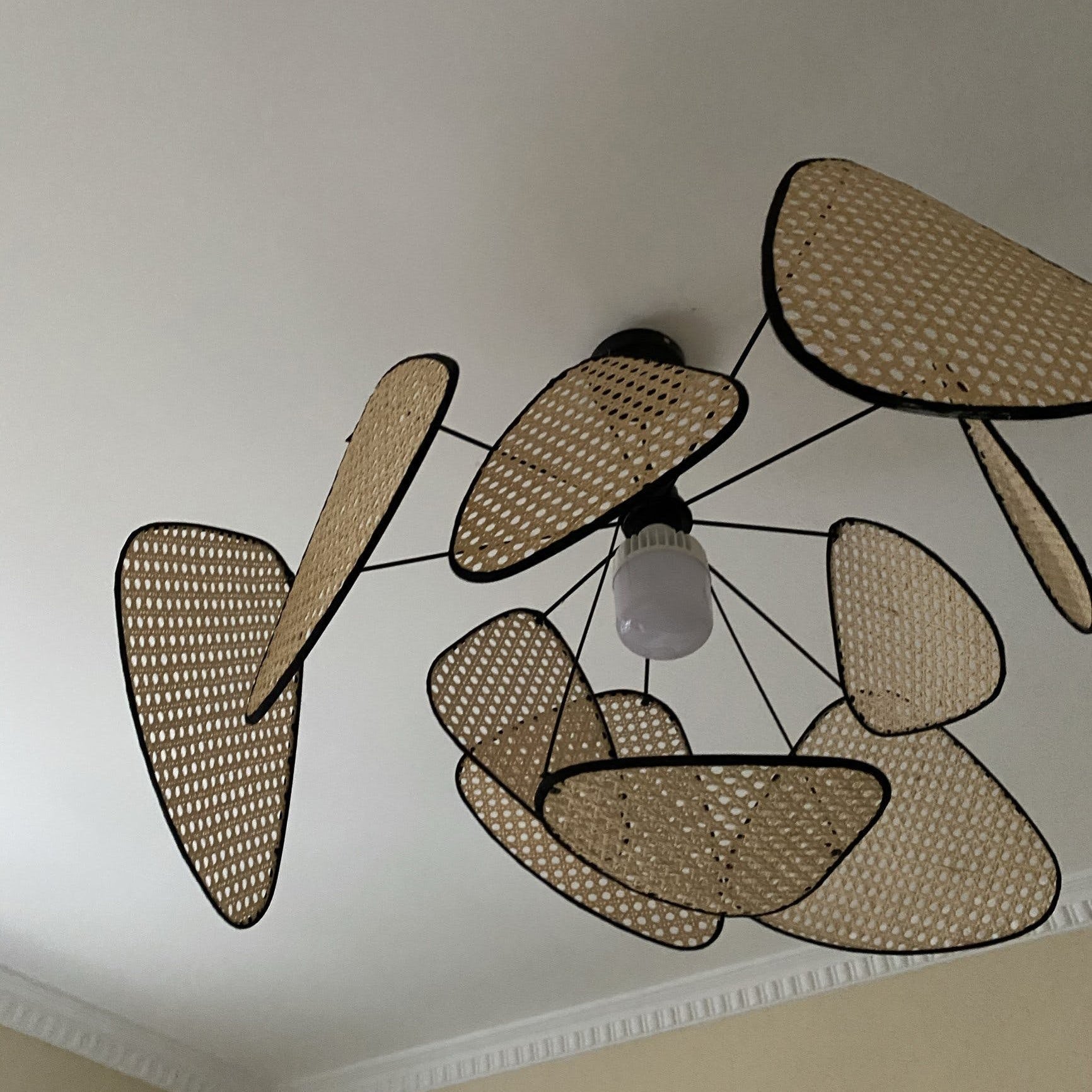 Screen Cannage Pendant Light