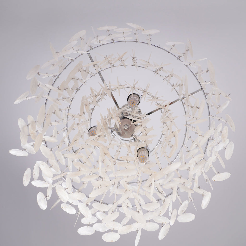 Seashells Pendant Light