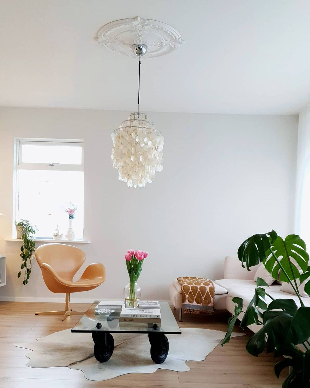 Seashells Pendant Light