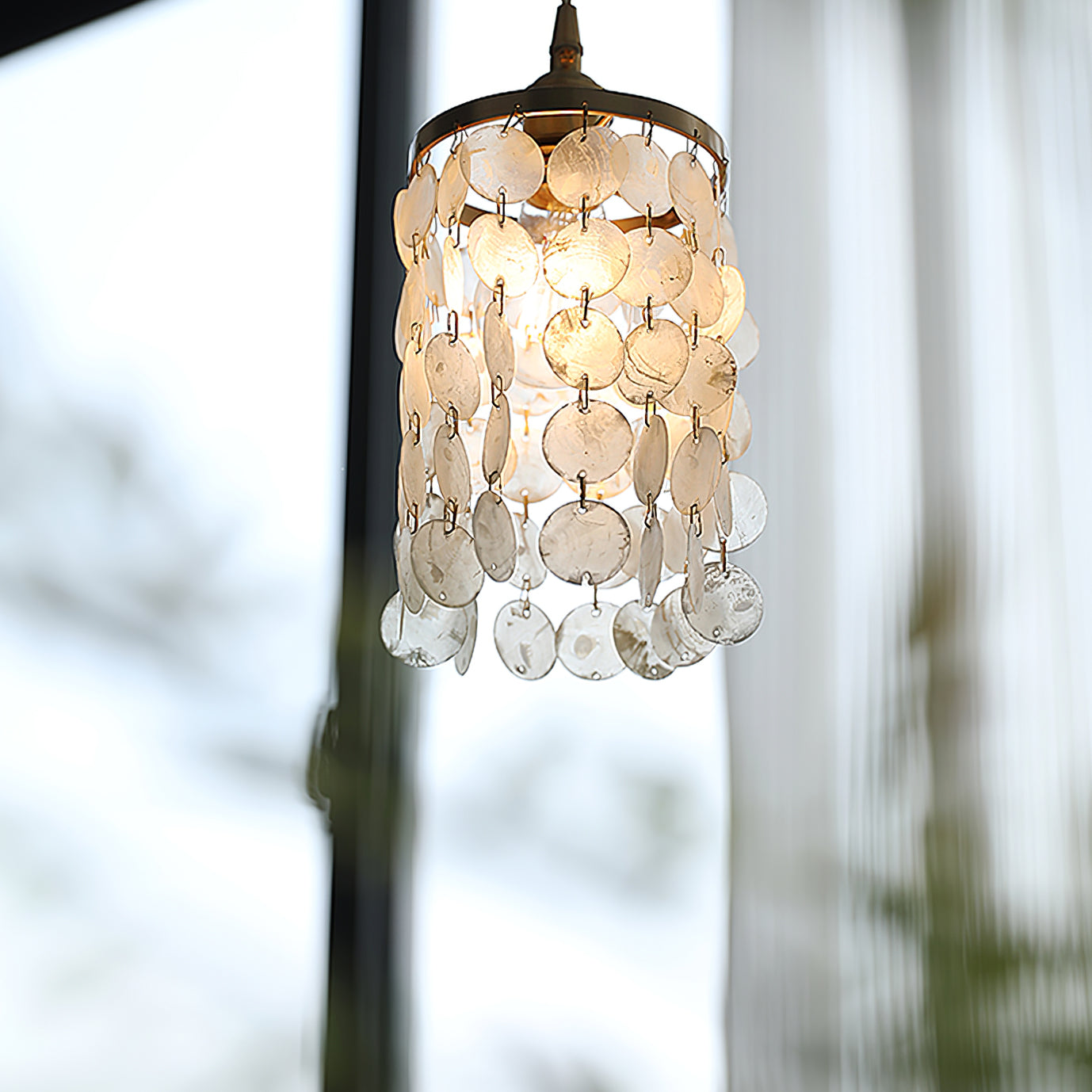 Shell Pendant Lamp