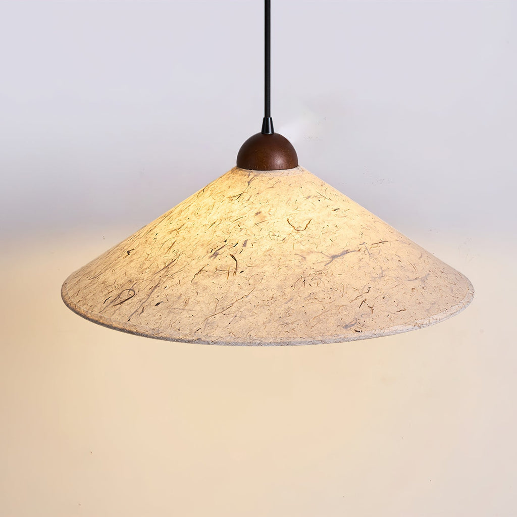Soren Swing Arm Pendant Light