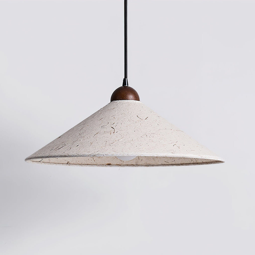Soren Swing Arm Pendant Light