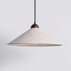 Soren Swing Arm Pendant Light