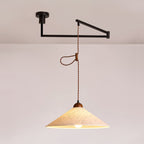 Soren Swing Arm Pendant Light