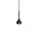 Spin Pendant Lamp