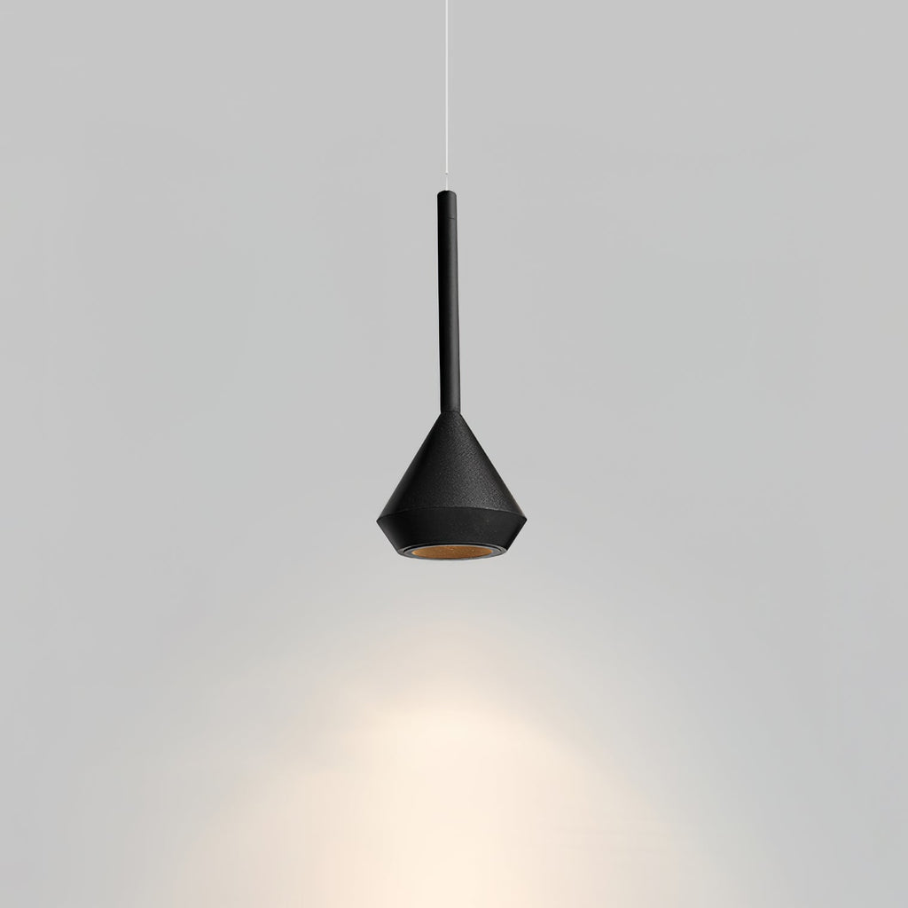 Spin Pendant Lamp