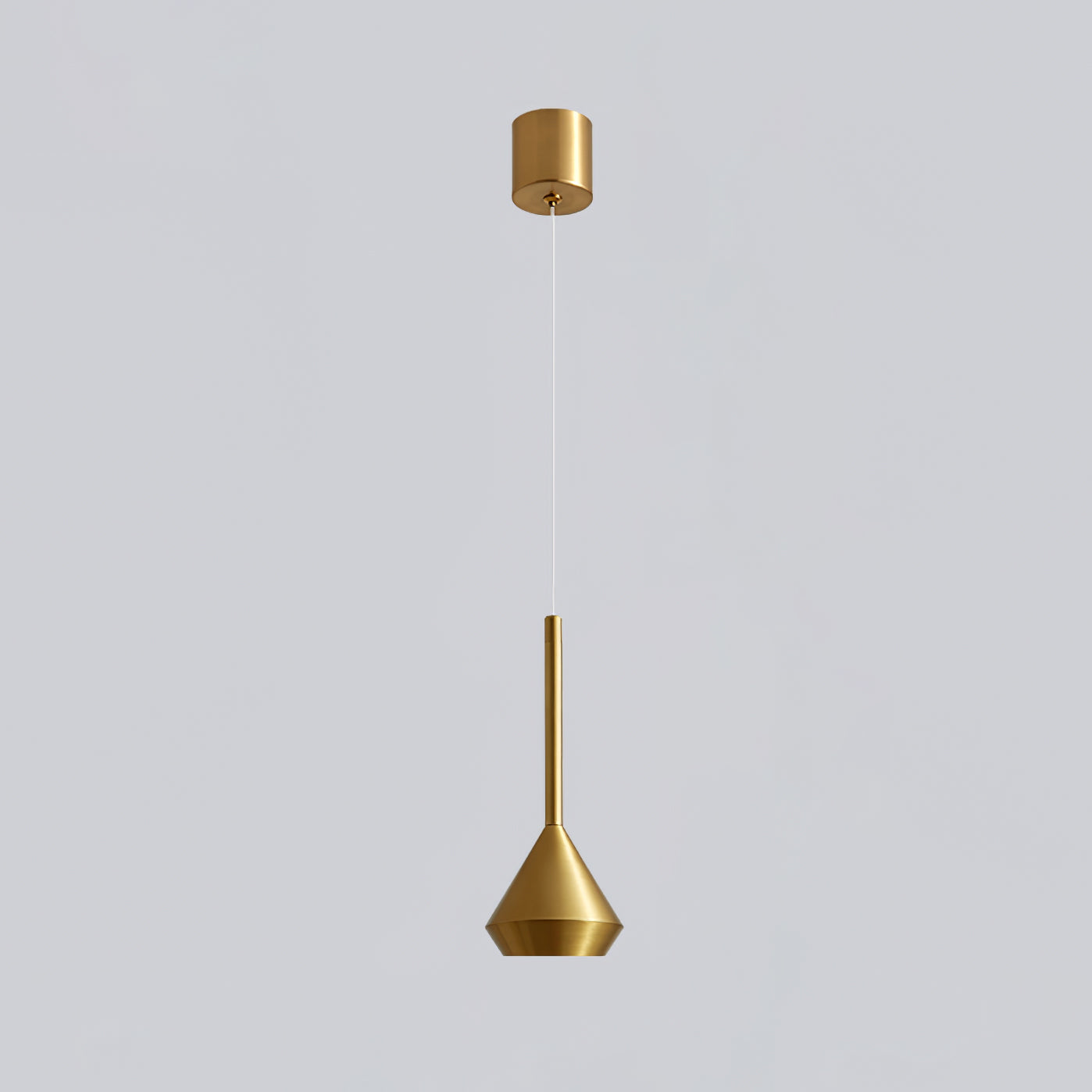 Spin Pendant Lamp