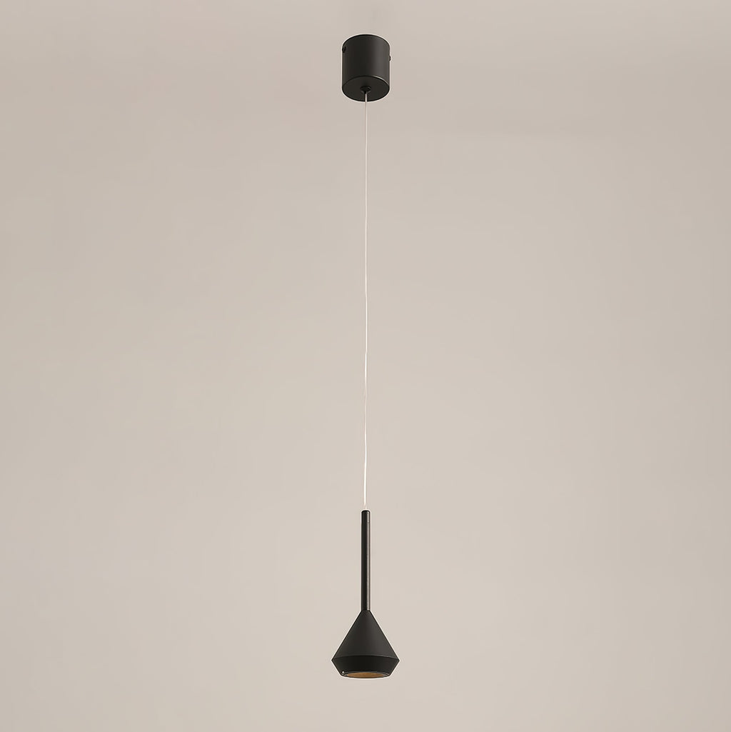 Spin Pendant Lamp