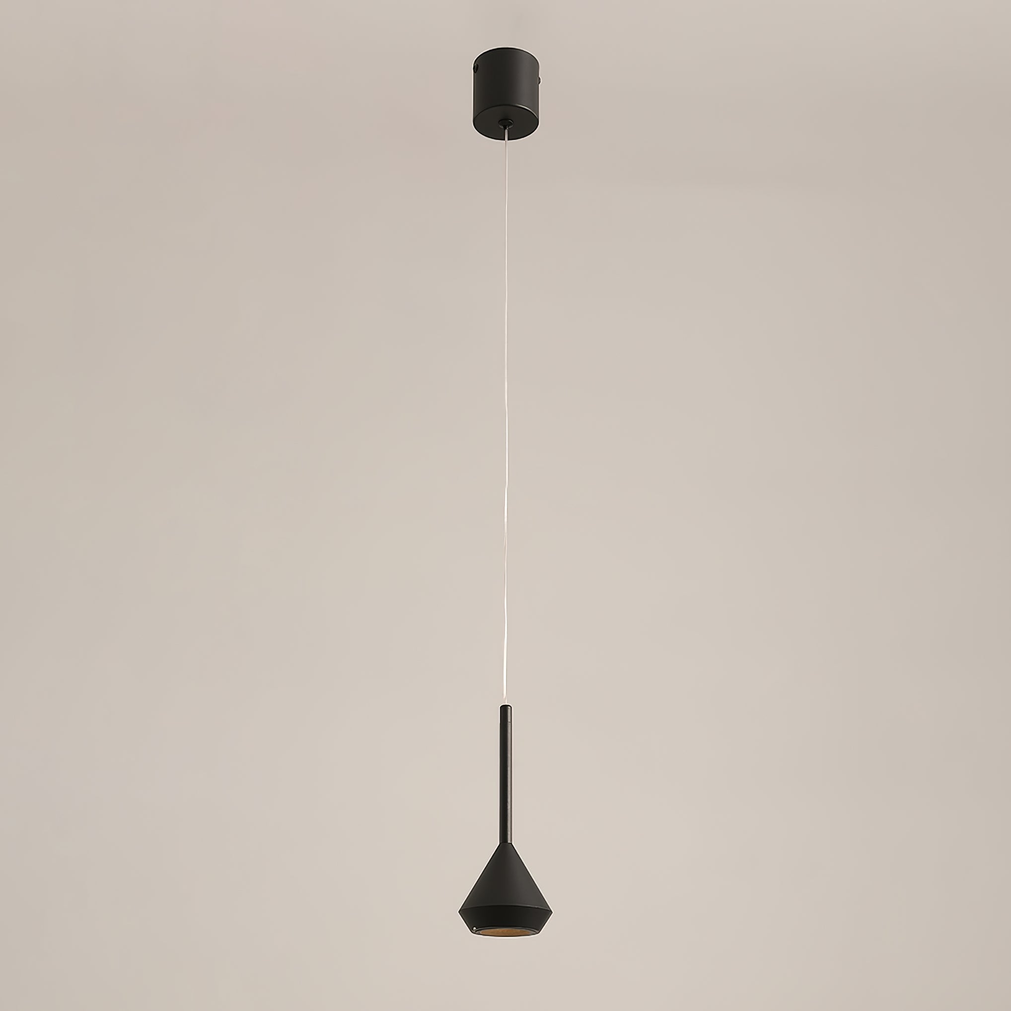 Spin Pendant Lamp