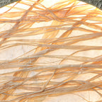 Straw Green Wall Sconce