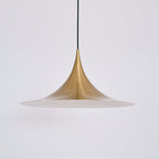 Semi Pendant Light
