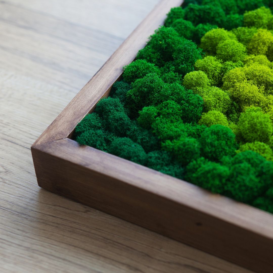 Preserved Moss Wall Art — Vertical Frame | Tall Botanical Panel