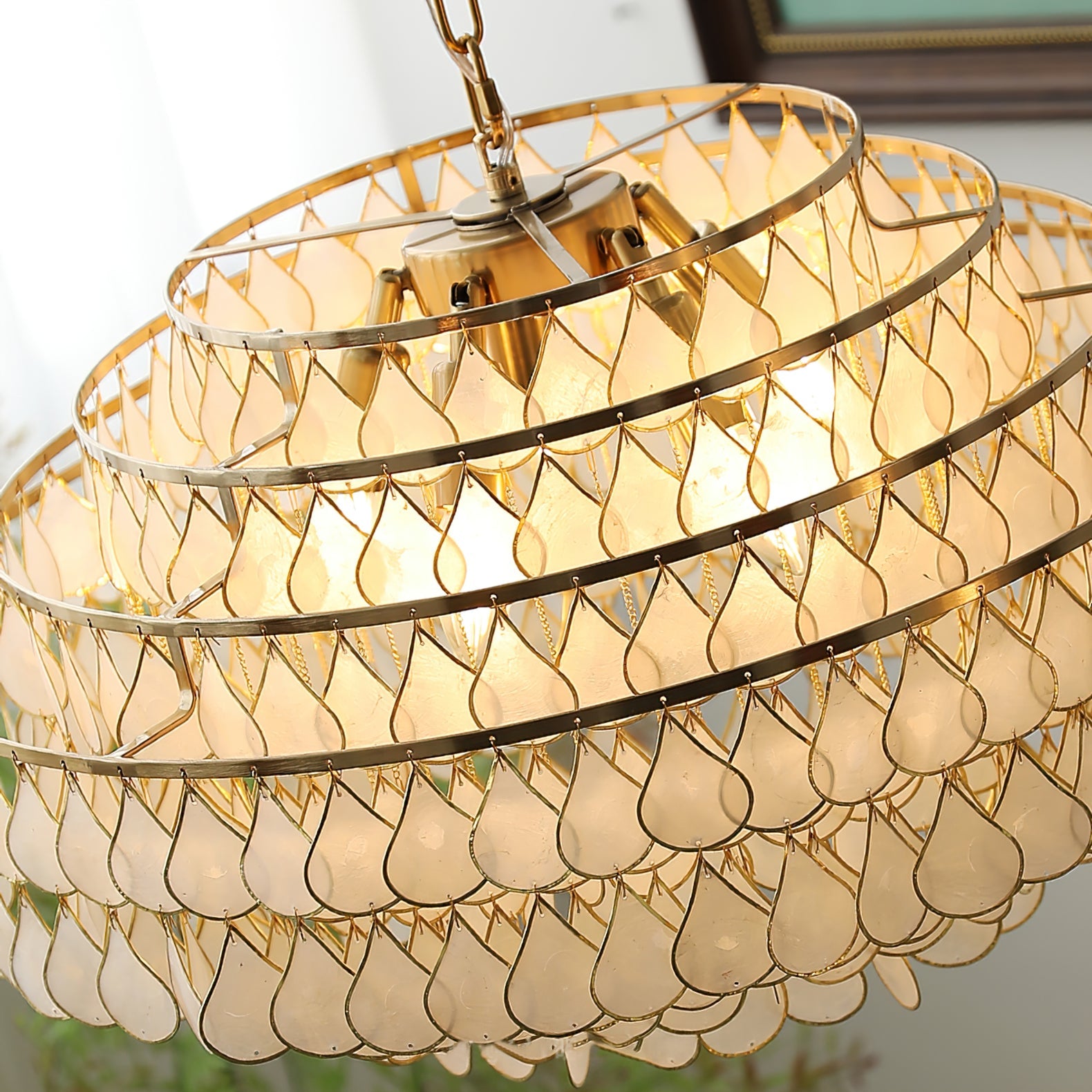 Vivant Shell Pendant Lamp
