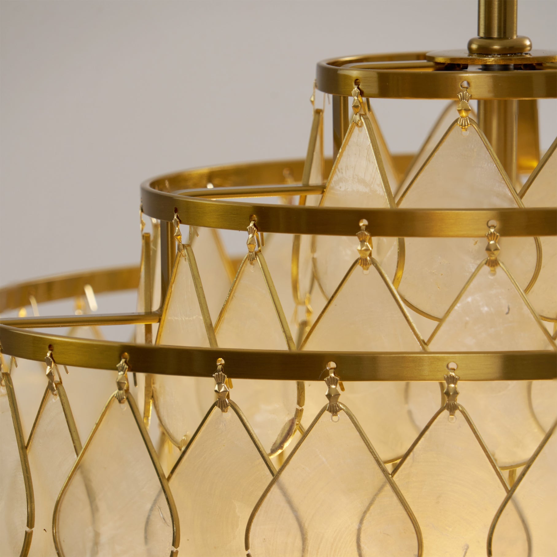 Vivant Shell Pendant Lamp