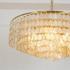 Vivant Shell Pendant Lamp
