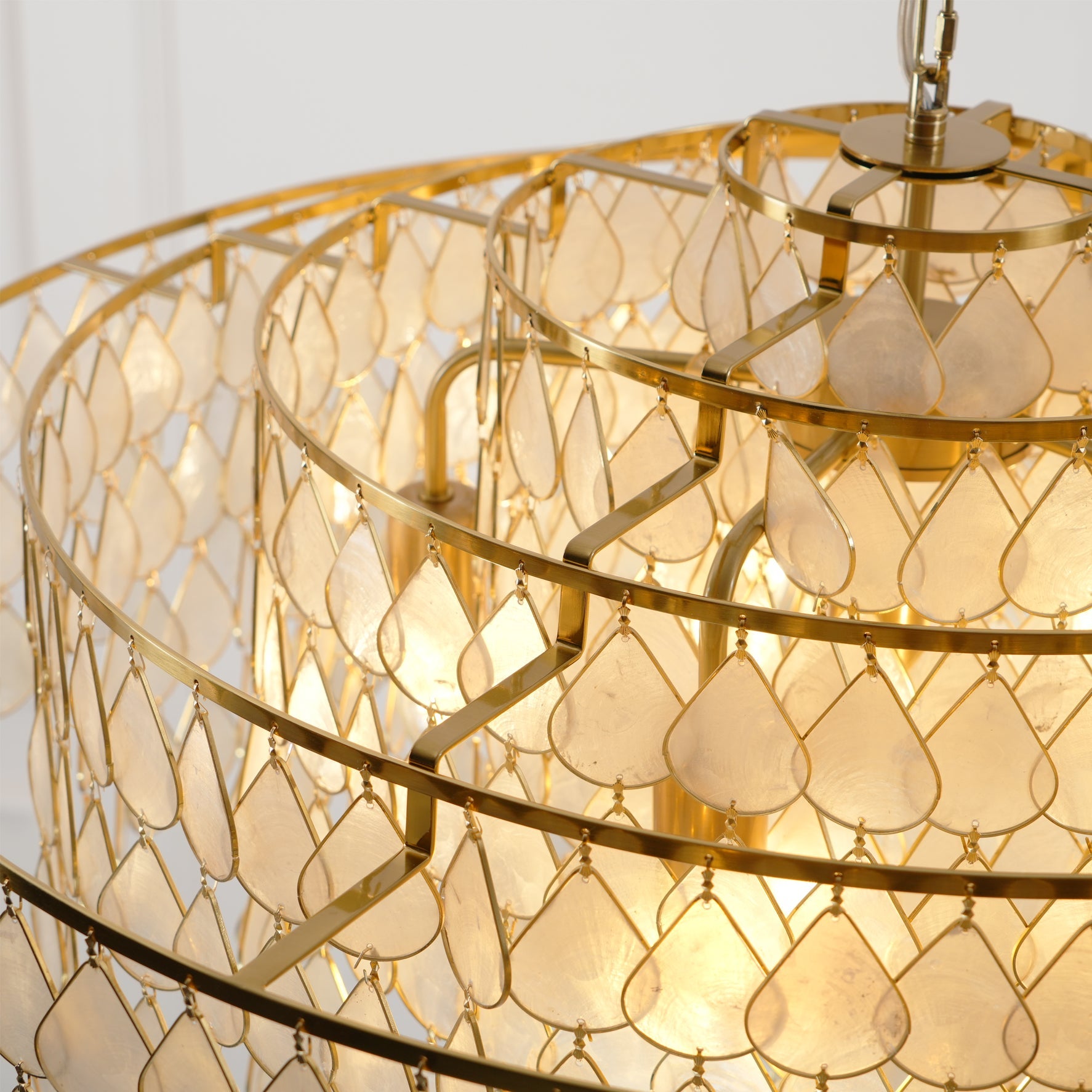 Vivant Shell Pendant Lamp