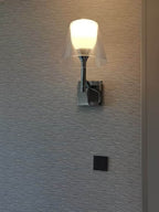 Zymera Wall Light