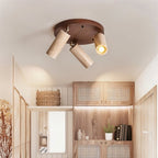 Astrivis Ceiling Light