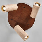 Astrivis Ceiling Light