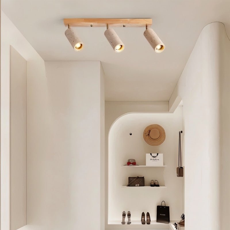 Astrivis Ceiling Light