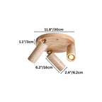 Astrivis Ceiling Light