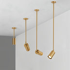 Aurea Ceiling Light