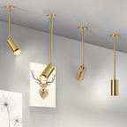 Aurea Ceiling Light