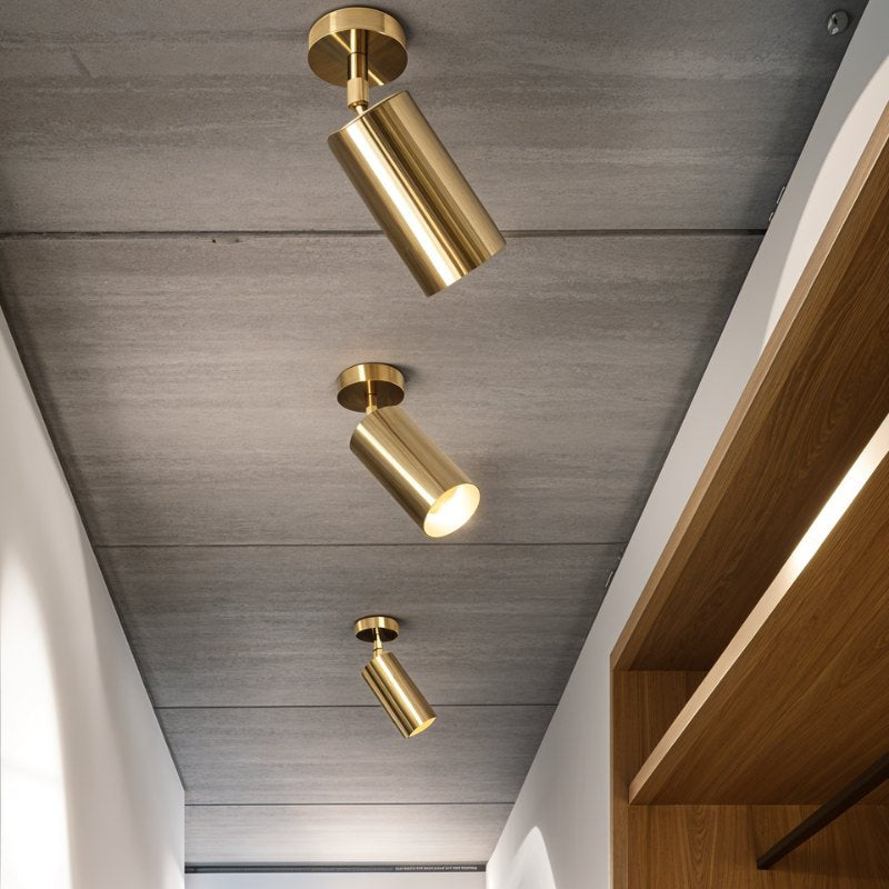 Aurea Ceiling Light