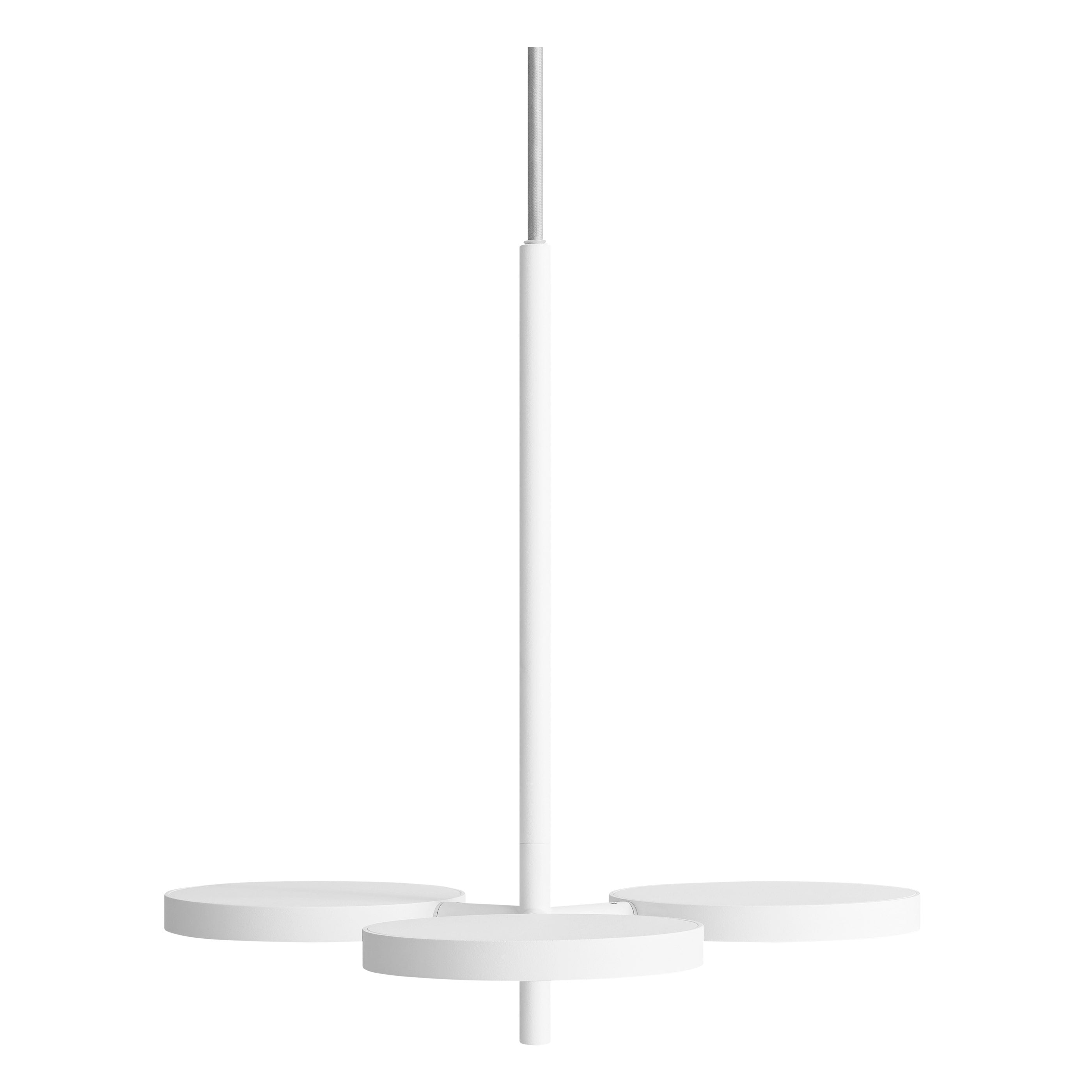 Shine On Pendant Light