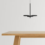 Shine On Pendant Light