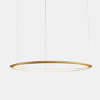 Circular One Ring Pendant Light