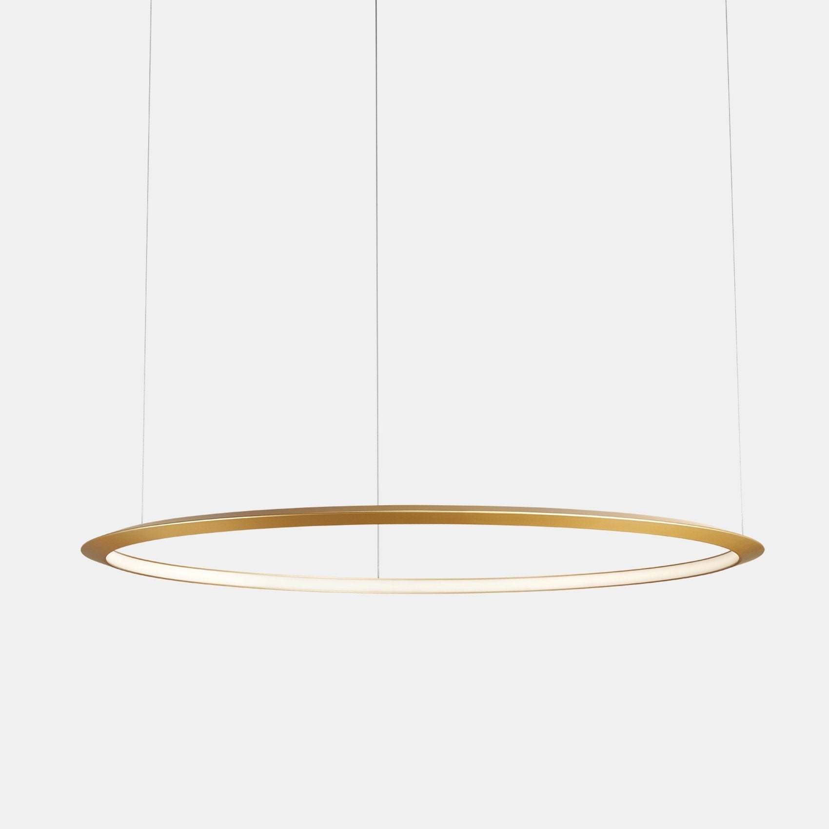 Circular One Ring Pendant Light