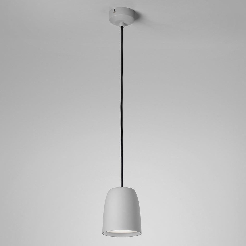 Nut Pendant Light