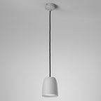 Nut Pendant Light