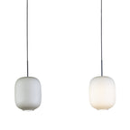 Arya Pendant Light