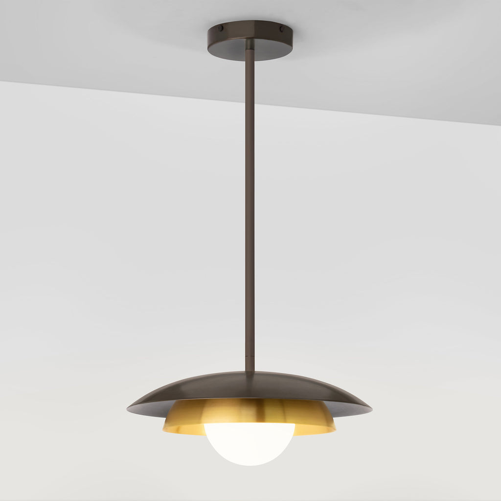 Carapace Pendant Light with Drop Rod