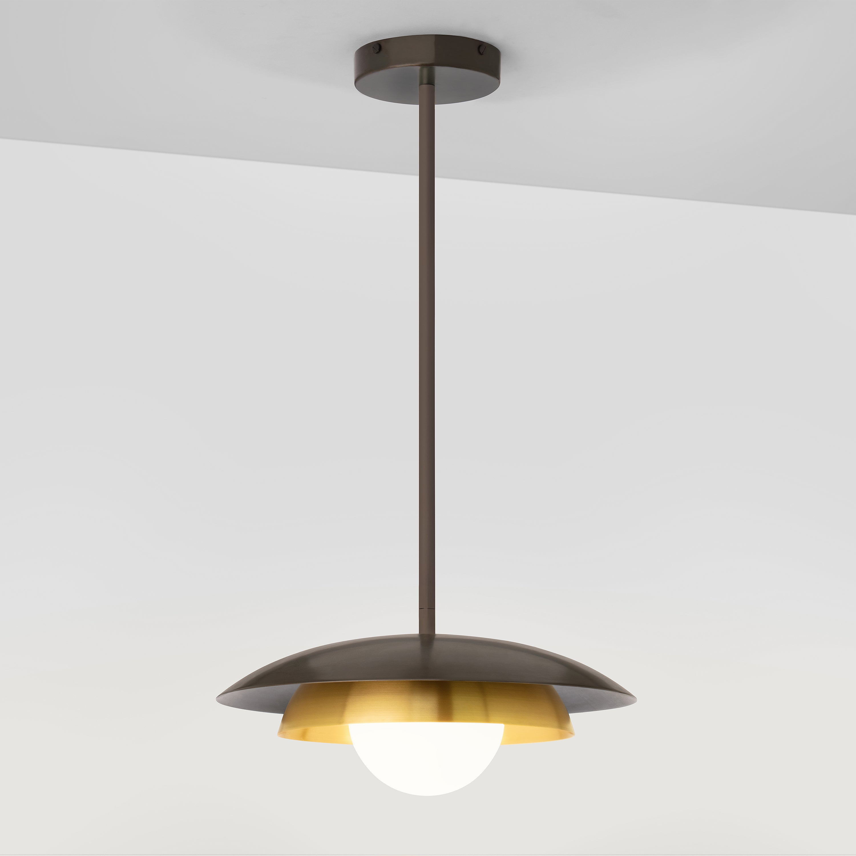 Carapace Pendant Light with Drop Rod