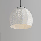 Amicus 16 Pendant Light