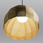 Amicus 16 Pendant Light