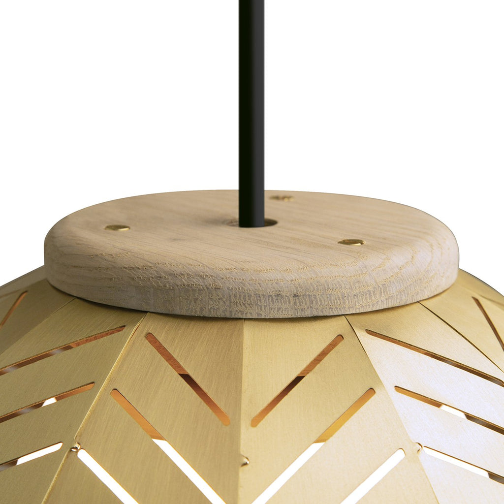 Amicus 16 Pendant Light