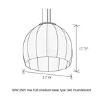 Amicus 21 Pendant Light