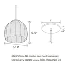 Amicus Pendant Light