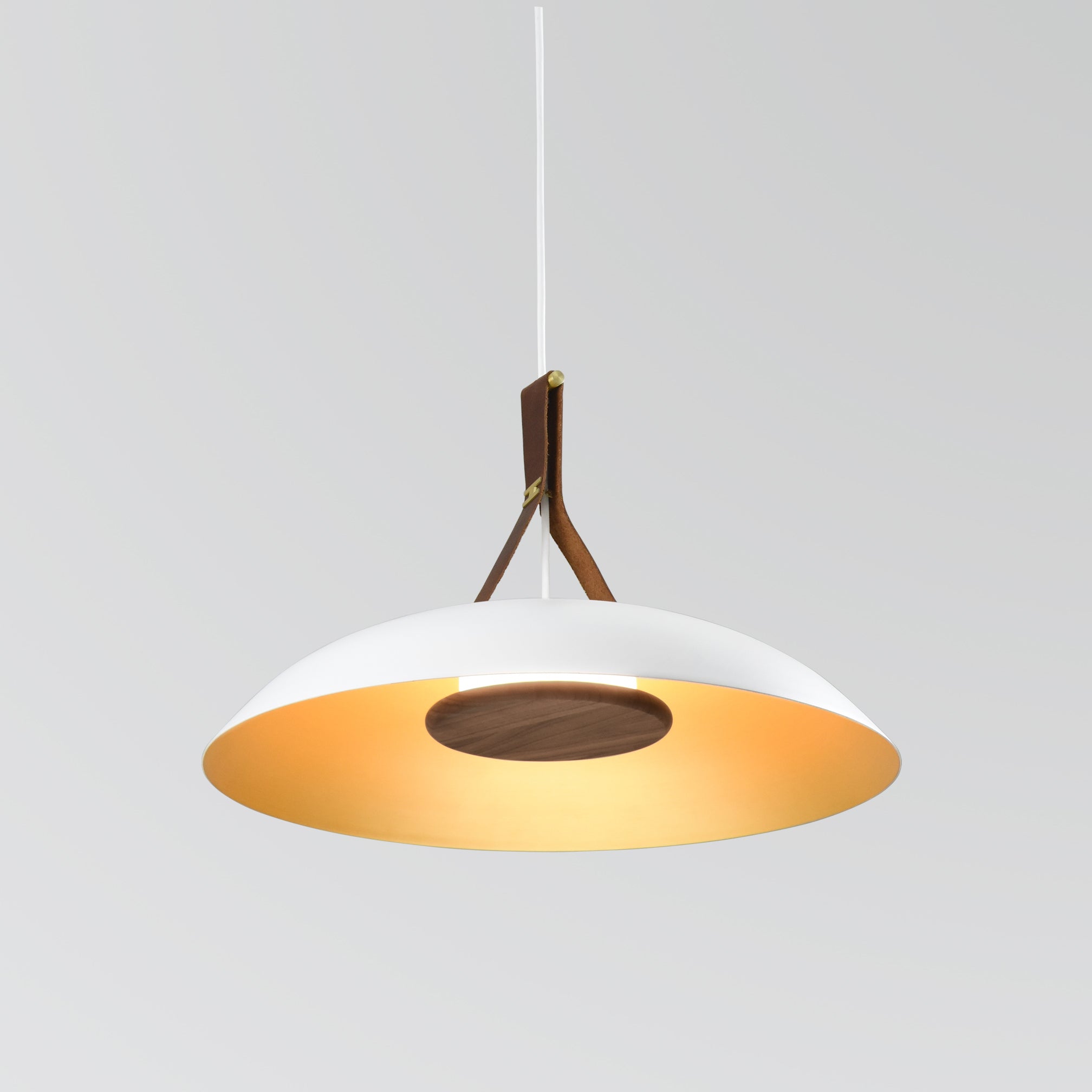 Volo Pendant Light