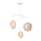 Focus Pendant Light