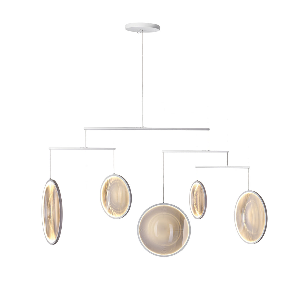 Focus Pendant Light